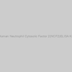 Image of Human Neutrophil Cytosolic Factor 2(NCF2)ELISA Kit
